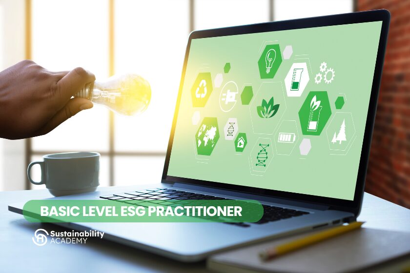 How to Become a Basic Level Practitioner in Sustainability